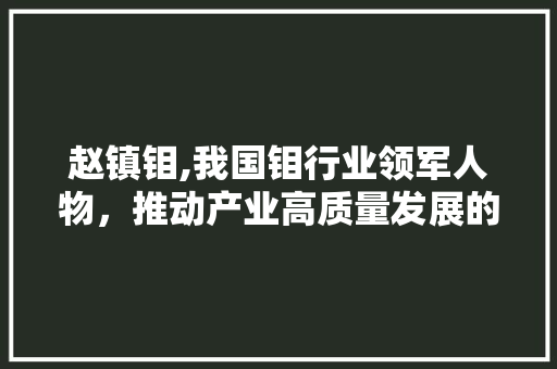 赵镇钼,我国钼行业领军人物，推动产业高质量发展的先行者