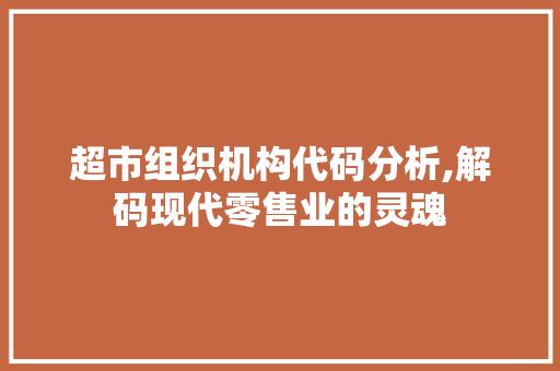 超市组织机构代码分析,解码现代零售业的灵魂