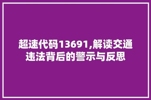 超速代码13691,解读交通违法背后的警示与反思