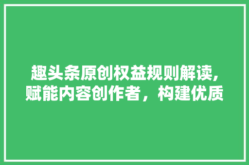 趣头条原创权益规则解读,赋能内容创作者，构建优质内容生态