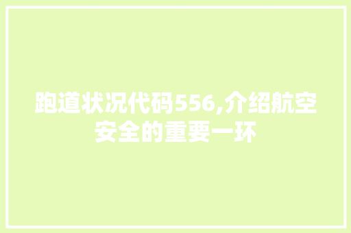 跑道状况代码556,介绍航空安全的重要一环