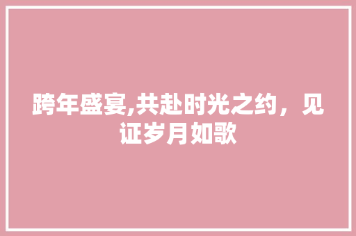 跨年盛宴,共赴时光之约，见证岁月如歌