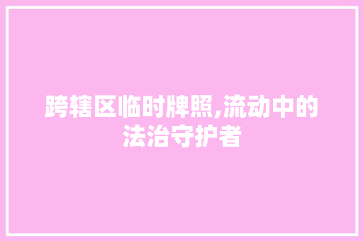 跨辖区临时牌照,流动中的法治守护者