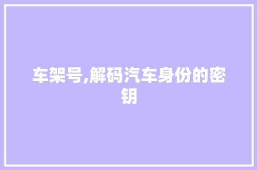 车架号,解码汽车身份的密钥