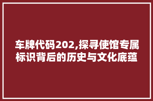 车牌代码202,探寻使馆专属标识背后的历史与文化底蕴