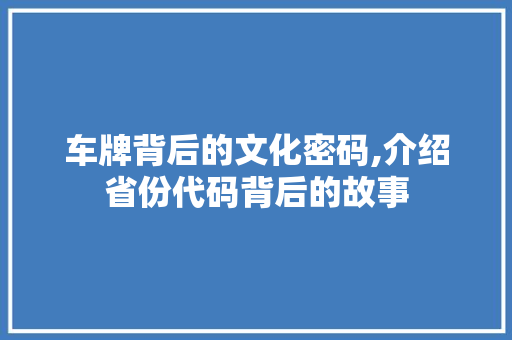 车牌背后的文化密码,介绍省份代码背后的故事