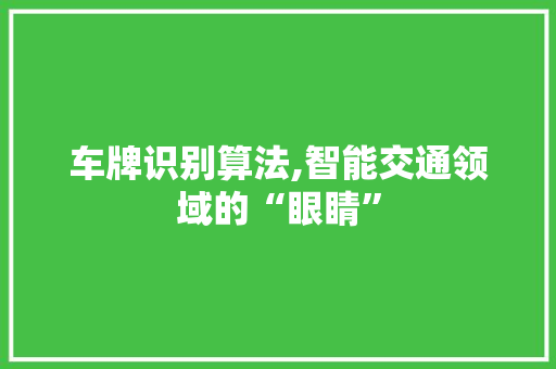 车牌识别算法,智能交通领域的“眼睛”