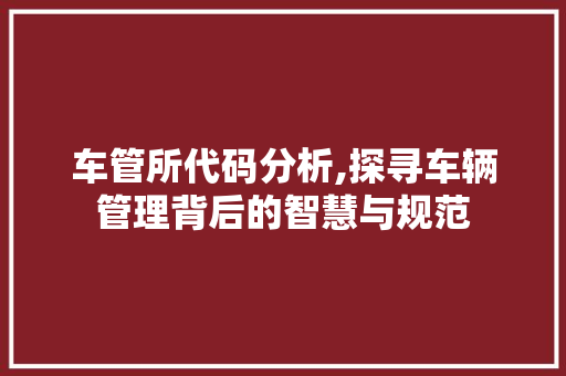 车管所代码分析,探寻车辆管理背后的智慧与规范