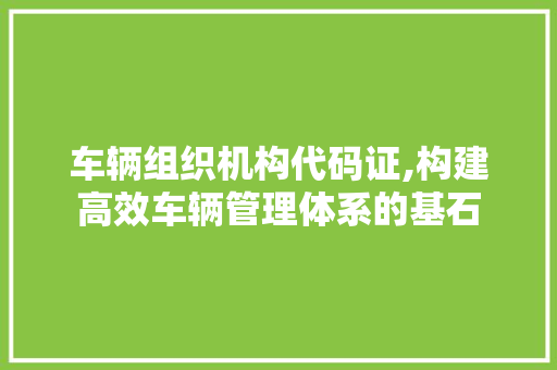 车辆组织机构代码证,构建高效车辆管理体系的基石