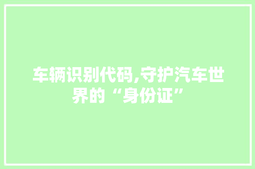 车辆识别代码,守护汽车世界的“身份证”