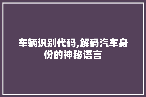 车辆识别代码,解码汽车身份的神秘语言