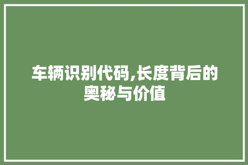 车辆识别代码,长度背后的奥秘与价值