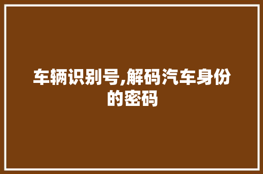 车辆识别号,解码汽车身份的密码