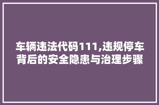 车辆违法代码111,违规停车背后的安全隐患与治理步骤