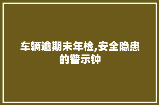 车辆逾期未年检,安全隐患的警示钟