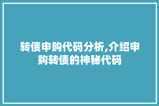 转债申购代码分析,介绍申购转债的神秘代码