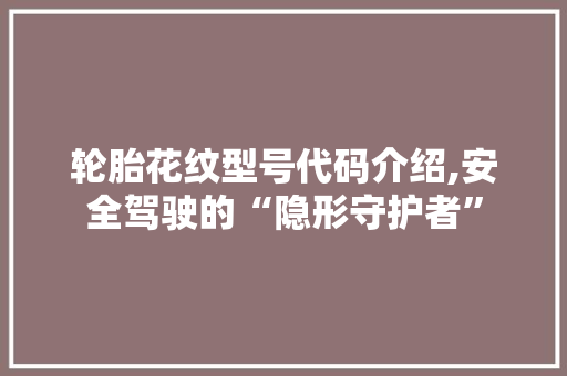 轮胎花纹型号代码介绍,安全驾驶的“隐形守护者”