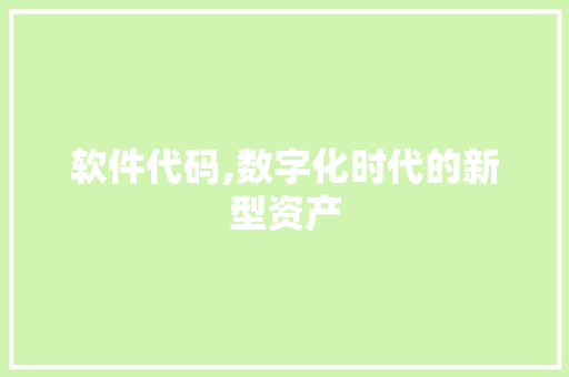 软件代码,数字化时代的新型资产