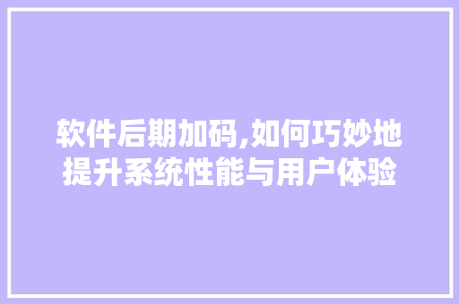 软件后期加码,如何巧妙地提升系统性能与用户体验