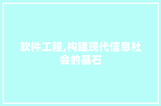 软件工程,构建现代信息社会的基石