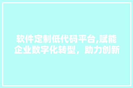 软件定制低代码平台,赋能企业数字化转型，助力创新与效率提升