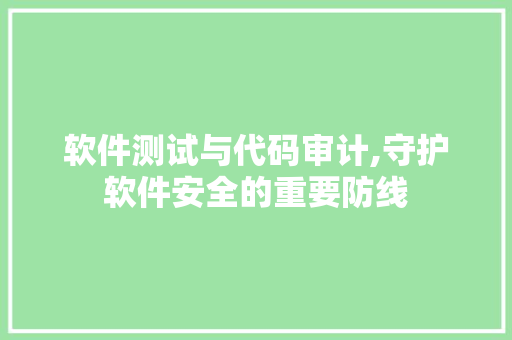 软件测试与代码审计,守护软件安全的重要防线