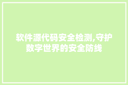 软件源代码安全检测,守护数字世界的安全防线