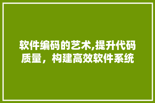 软件编码的艺术,提升代码质量，构建高效软件系统