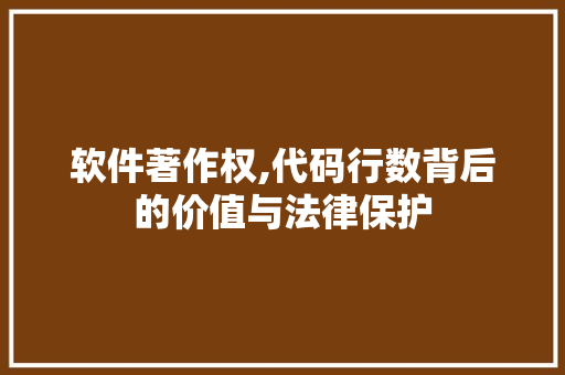 软件著作权,代码行数背后的价值与法律保护