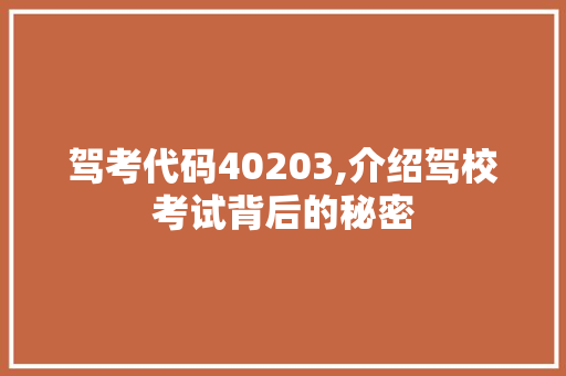 驾考代码40203,介绍驾校考试背后的秘密