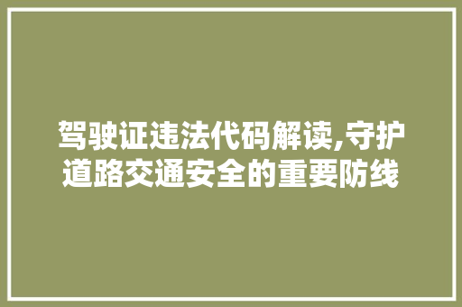 驾驶证违法代码解读,守护道路交通安全的重要防线