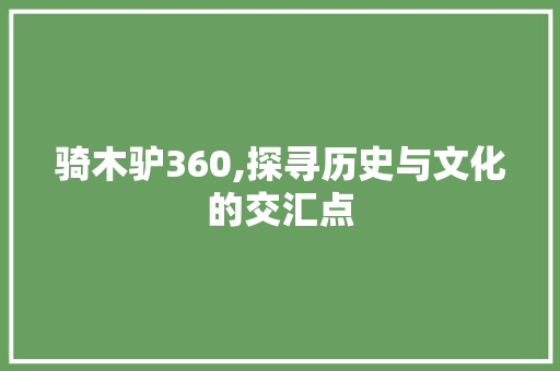 骑木驴360,探寻历史与文化的交汇点