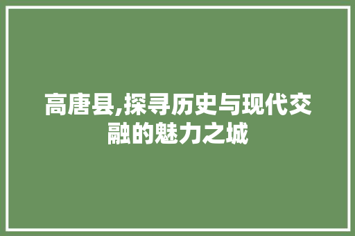 高唐县,探寻历史与现代交融的魅力之城