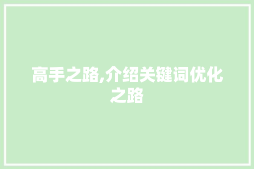 高手之路,介绍关键词优化之路