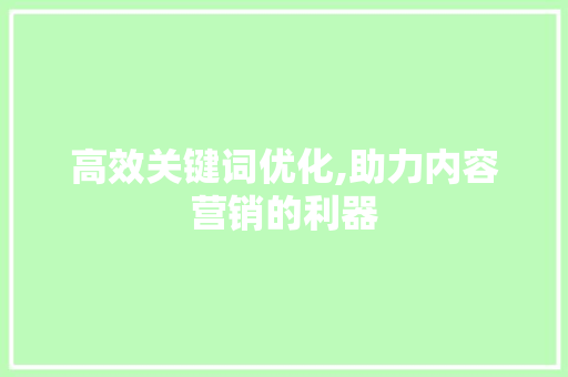 高效关键词优化,助力内容营销的利器