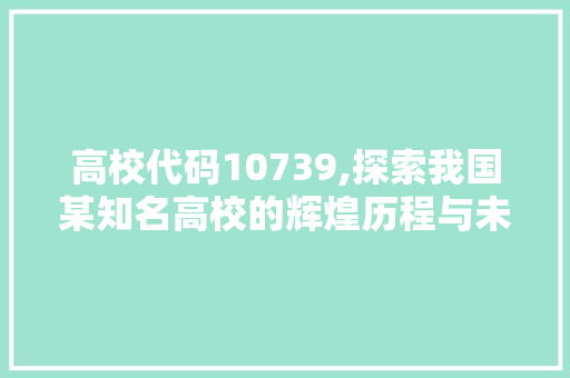 高校代码10739,探索我国某知名高校的辉煌历程与未来展望