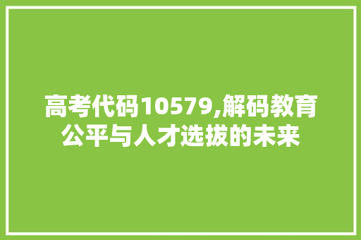 高考代码10579,解码教育公平与人才选拔的未来