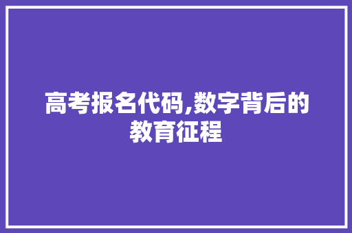 高考报名代码,数字背后的教育征程