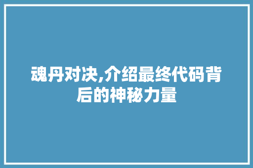 魂丹对决,介绍最终代码背后的神秘力量