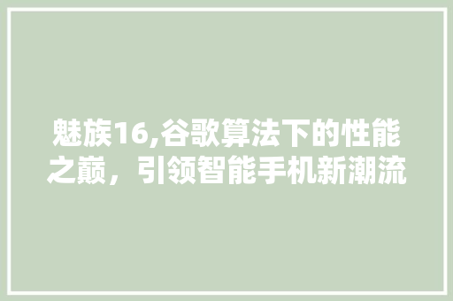 魅族16,谷歌算法下的性能之巅，引领智能手机新潮流