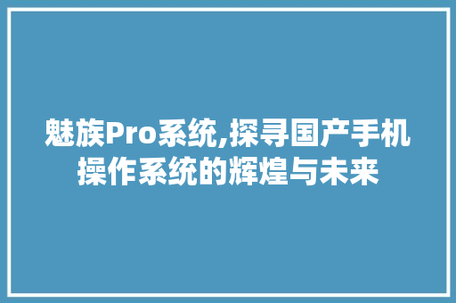 魅族Pro系统,探寻国产手机操作系统的辉煌与未来 Node.js