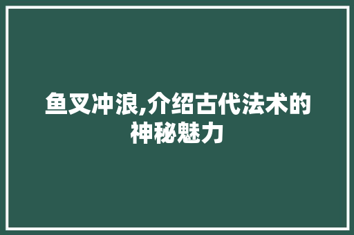 鱼叉冲浪,介绍古代法术的神秘魅力