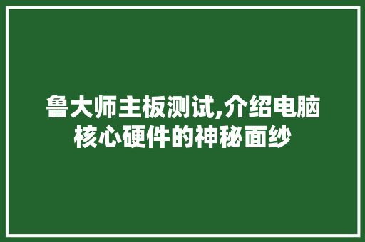 鲁大师主板测试,介绍电脑核心硬件的神秘面纱