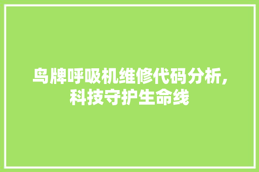 鸟牌呼吸机维修代码分析,科技守护生命线