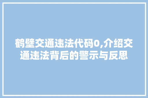 鹤壁交通违法代码0,介绍交通违法背后的警示与反思