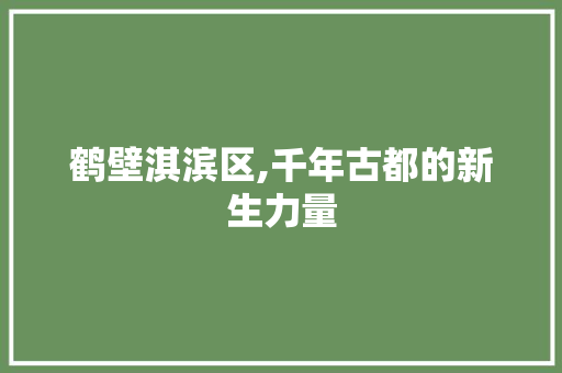 鹤壁淇滨区,千年古都的新生力量