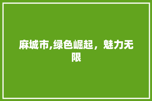 麻城市,绿色崛起，魅力无限