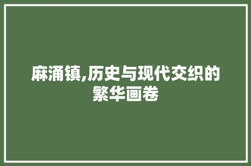 麻涌镇,历史与现代交织的繁华画卷