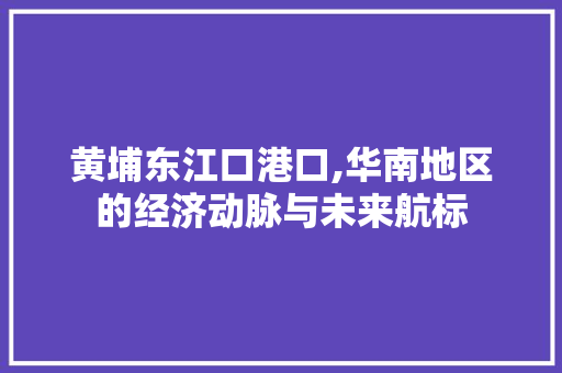 黄埔东江口港口,华南地区的经济动脉与未来航标 GraphQL