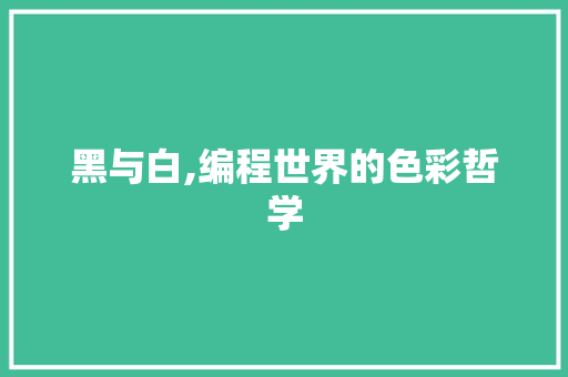 黑与白,编程世界的色彩哲学